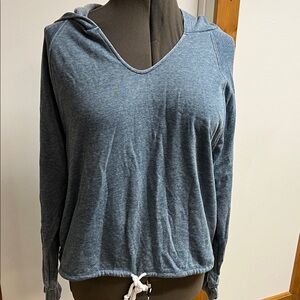 Dittos Heathered Blue Hoodie Sweatshirt
